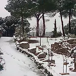 De Madera Junto Al Jaras בקתה