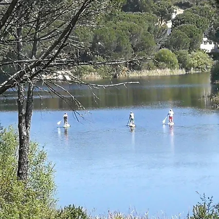 De Madera Junto Al Jaras בקתה