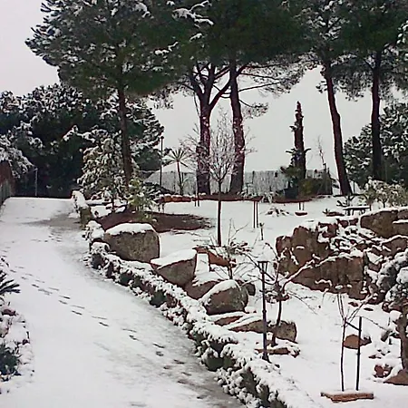 De Madera Junto Al Jaras Chalet